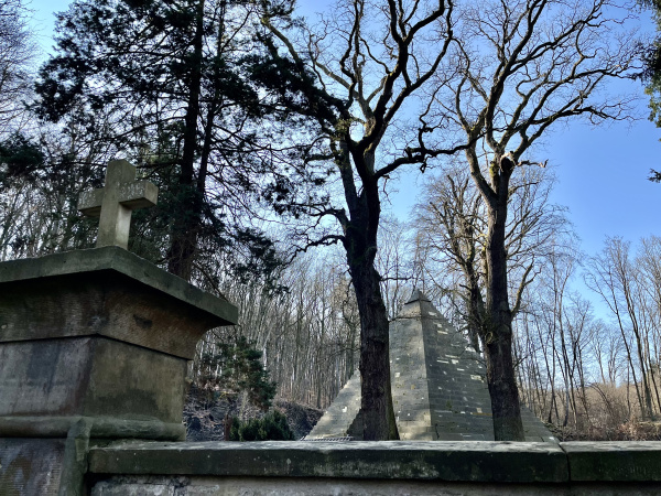 Roots & Routes