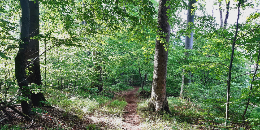 Wandern im Leinebergland