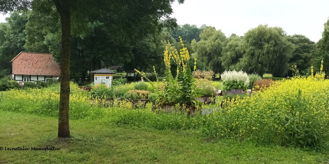 Kräutergarten