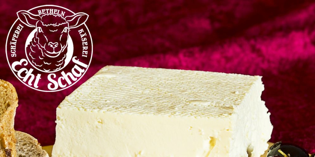 Kräuter trifft Käse